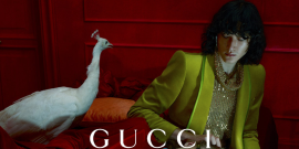 Gucci | SocialBeta